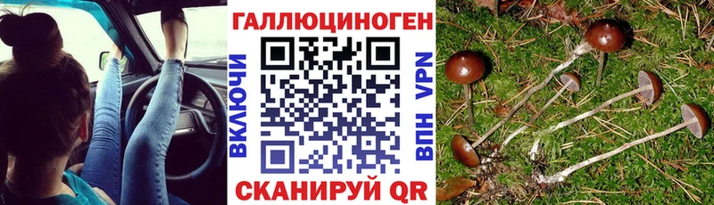 Галлюциногенные грибы прущие грибы  Купить где  Сафоново 
