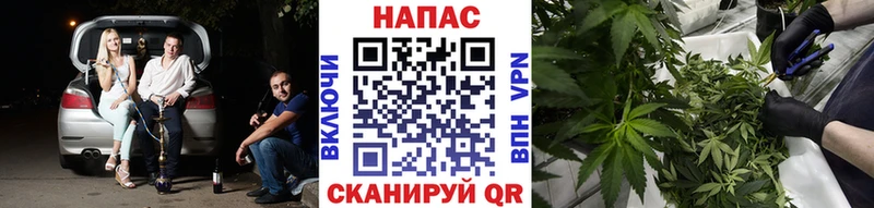 Шишки марихуана SATIVA & INDICA  Купить где  Сафоново 